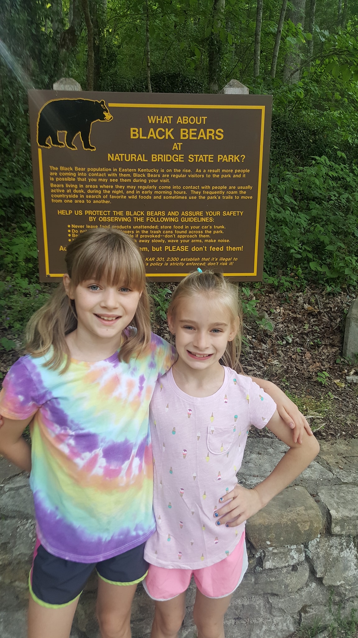 Bear Sign at Natural Bridge State Park