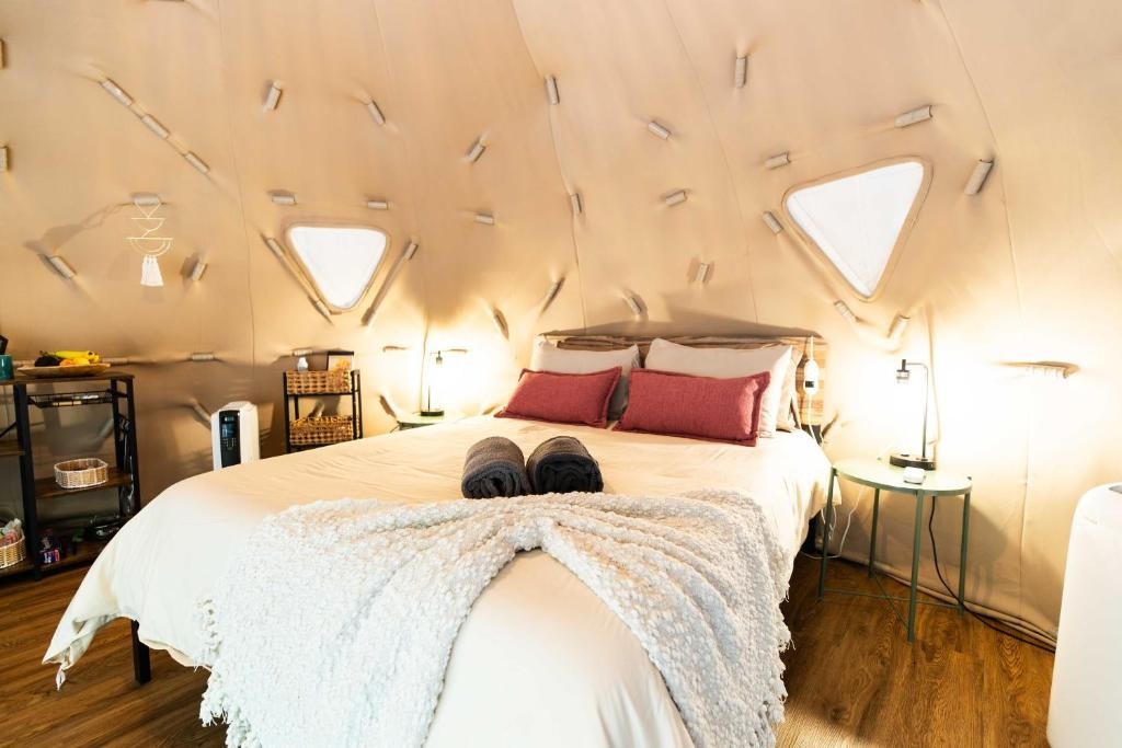 Solace Glamping