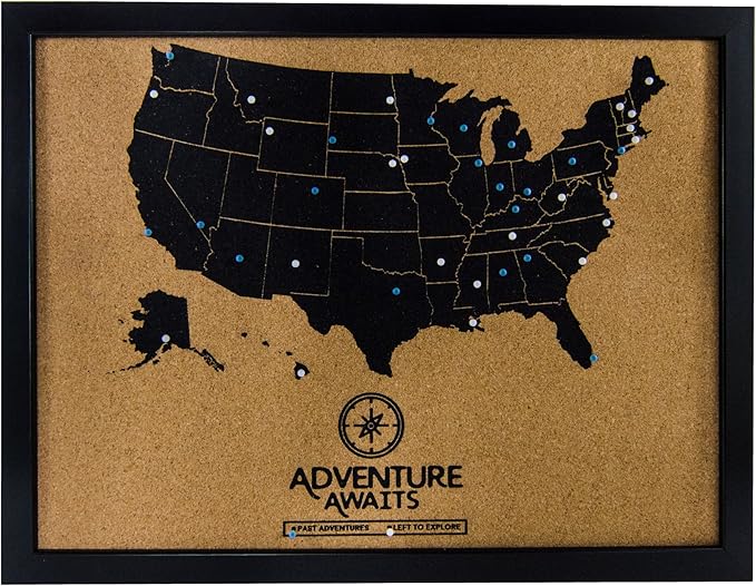 Art of Wanderlust Pushpin Bulletin Cork Board USA Wall Map