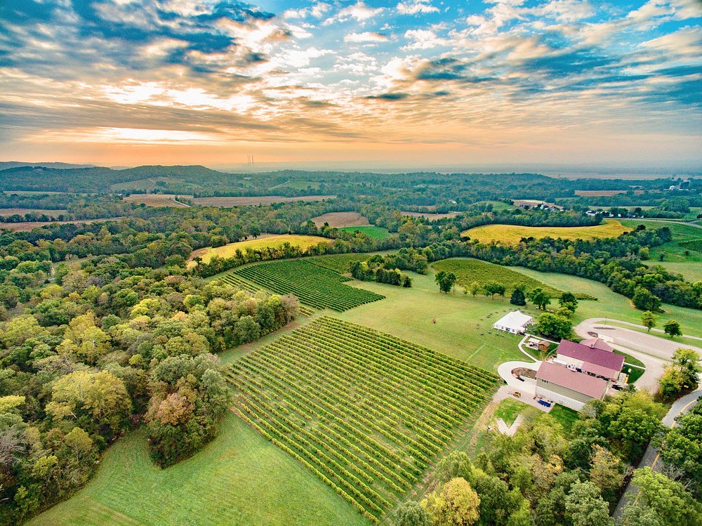 Noboleis Vineyard in Augusta, Missouri