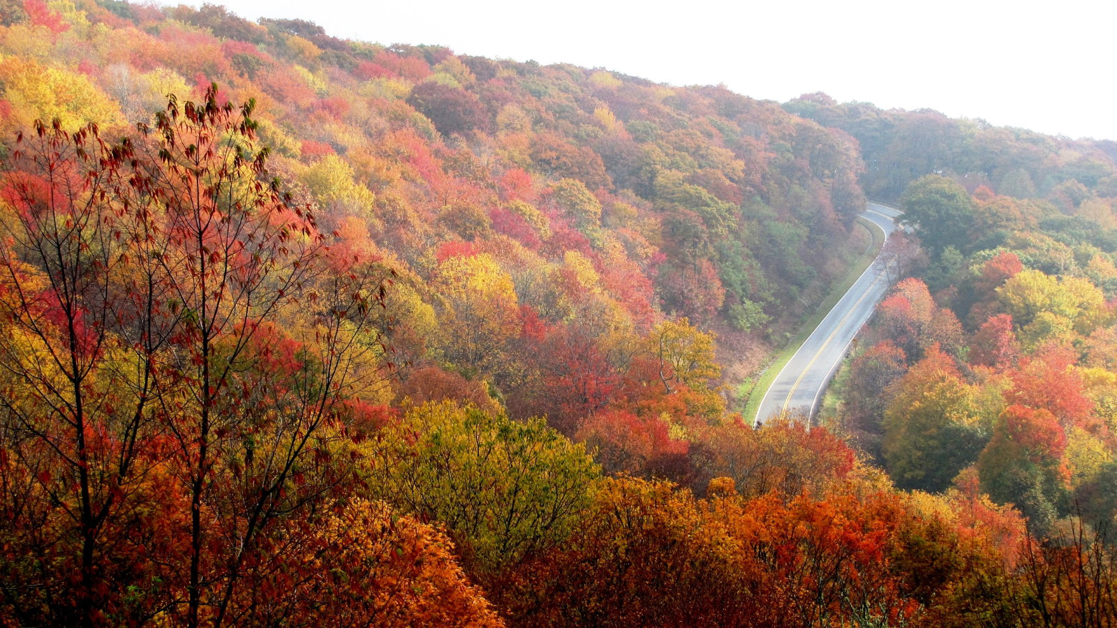 Autumn in the Smoky Moutains