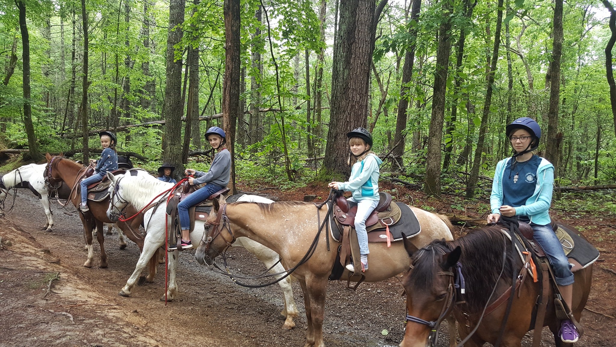 Horseback Riding in Great Smoky Mountains National Park