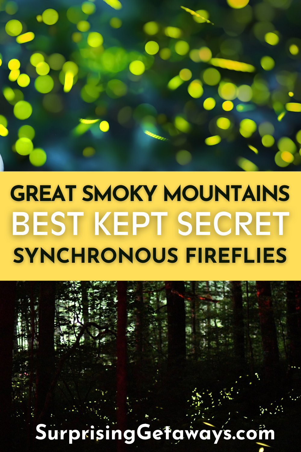 How to See Synchronous Fireflies in the Smoky Mountains
