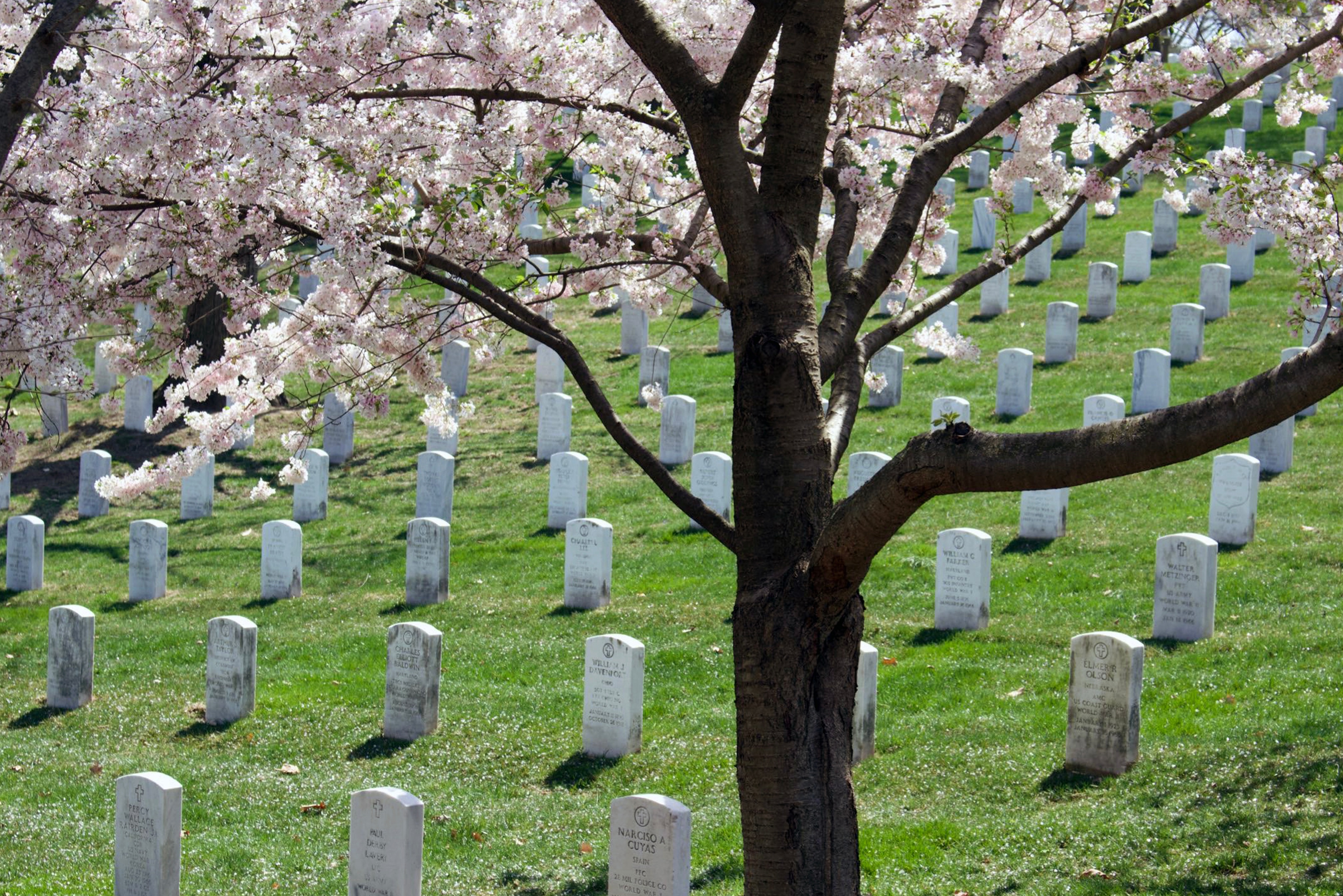 Arlington National Cemetery