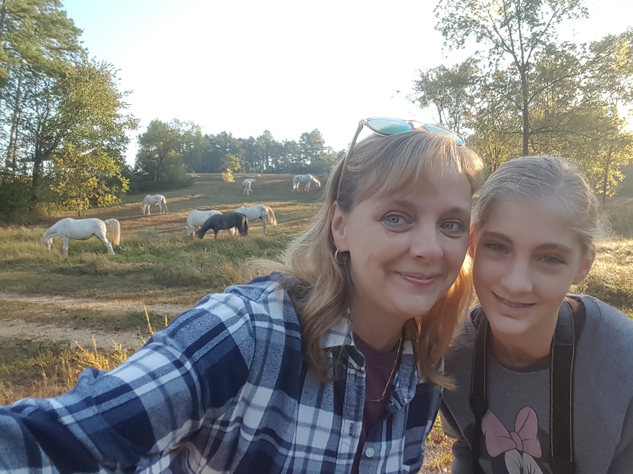 Wild Horses at Echo Bluff State Park